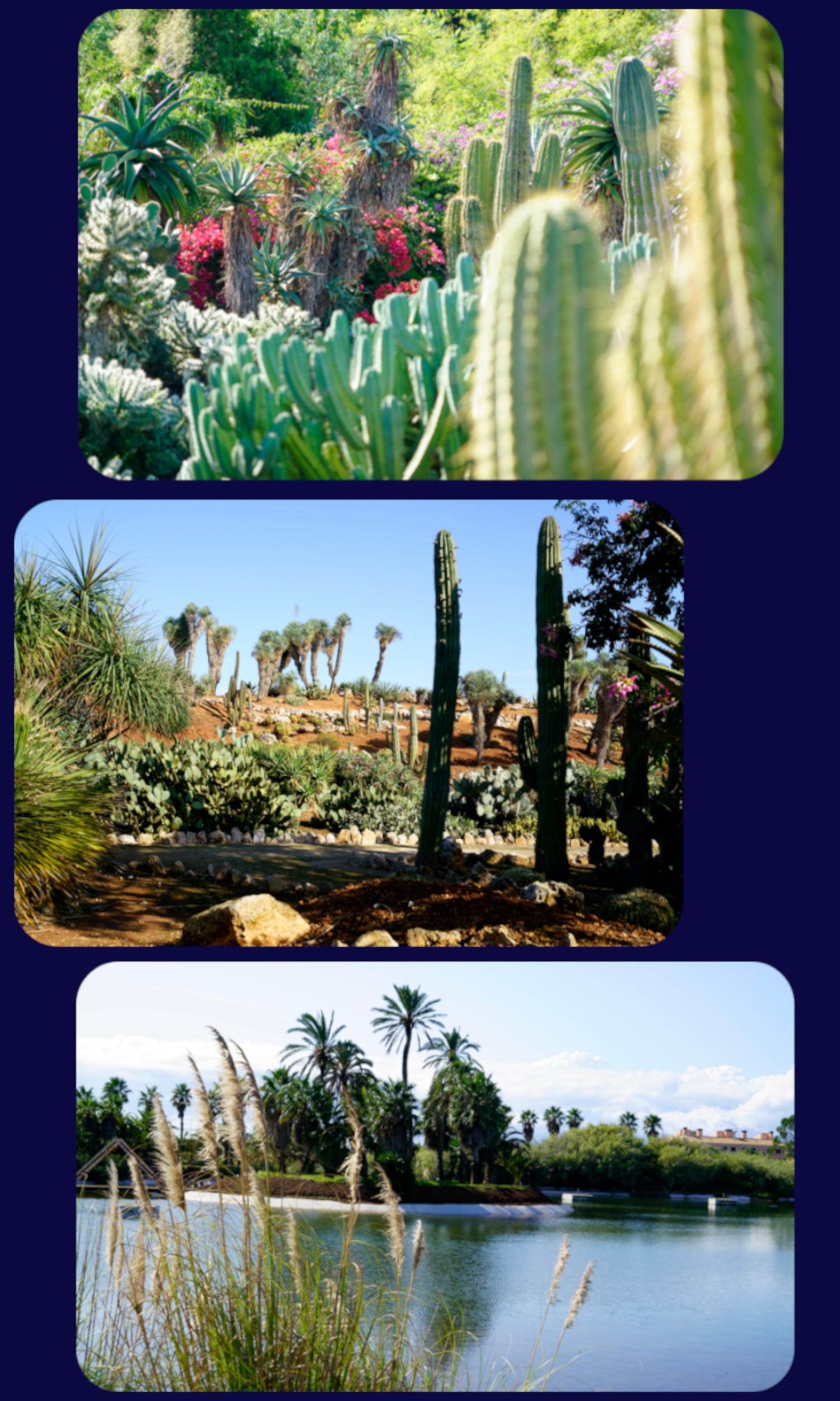 Mallorca Botanicatus